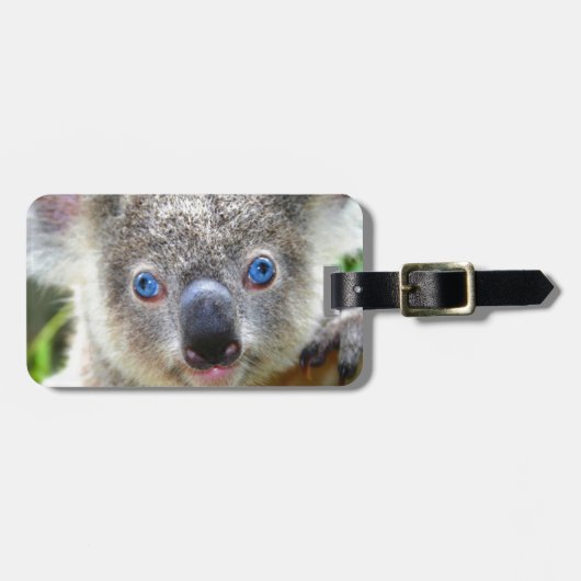 Koala Beren Bagagelabel (Voorkant horizontaal)