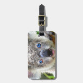 Koala Beren Bagagelabel (Voorkant verticaal)