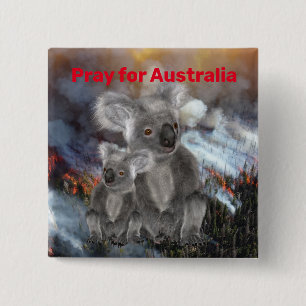 Koala Beren bidden voor Australië Vierkante Button 5,1 Cm