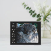 Koala beren briefkaart (Staand voorkant)