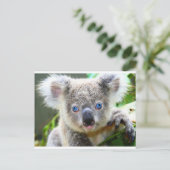 Koala Beren Briefkaart (Staand voorkant)