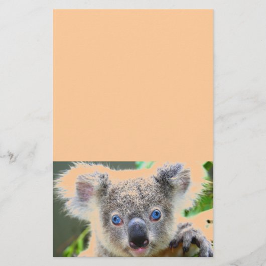 Koala Beren Briefpapier (Voorkant)