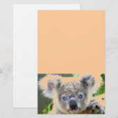 Koala Beren Briefpapier (Voorkant / Achterkant)