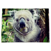 Koala Beren Groot Cadeauzakje (Voorkant)