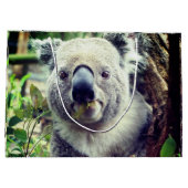 Koala Beren Groot Cadeauzakje (Achterkant)