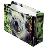 Koala Beren Groot Cadeauzakje (Voorkant Gekanteld)