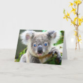 Koala beren kaart (Gele Bloem)