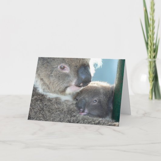 Koala Beren Kaart (Voorkant)