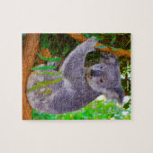 Koala Beren Legpuzzel (Horizontaal)