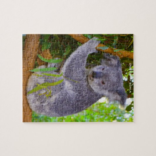 Koala Beren Legpuzzel (Horizontaal)