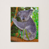 Koala Beren Legpuzzel (Verticaal)