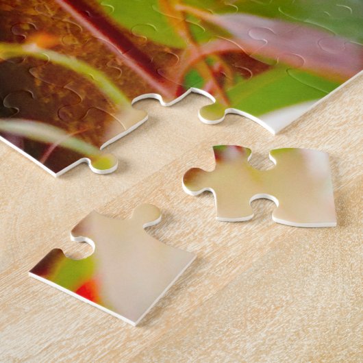 Koala-Beren. Legpuzzel (Zijkant)