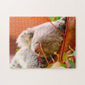 Koala-Beren. Legpuzzel (Horizontaal)