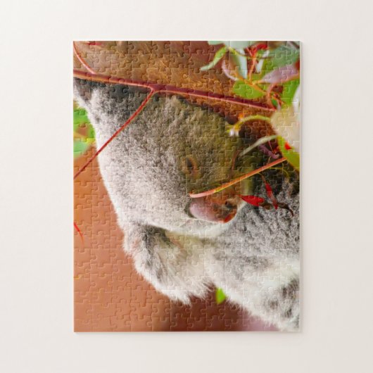 Koala-Beren. Legpuzzel (Verticaal)