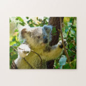 Koala-Beren. Legpuzzel (Horizontaal)
