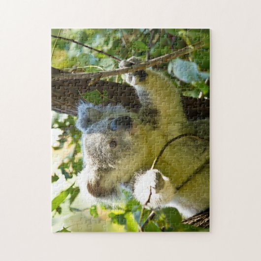 Koala-Beren. Legpuzzel (Verticaal)