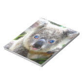 Koala Beren Notitieblok (Linkerzijde)