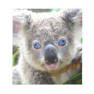 Koala Beren Notitieblok