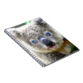 Koala Beren Notitieboek (Rechterzijde)