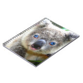 Koala Beren Notitieboek (Linkerzijde)