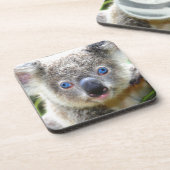 Koala Beren Onderzetter (Linkerzijde)