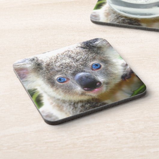 Koala Beren Onderzetter (Linkerzijde)