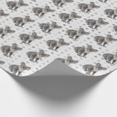 Koala Beren op Polka Dots Cadeaupapier (Hoek)