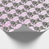 Koala-Beren op roze ginhgam Cadeaupapier (Hoek)