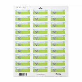Koala Beren Picknick Jongen Blauwe Gingham Etiket (Full Sheet)