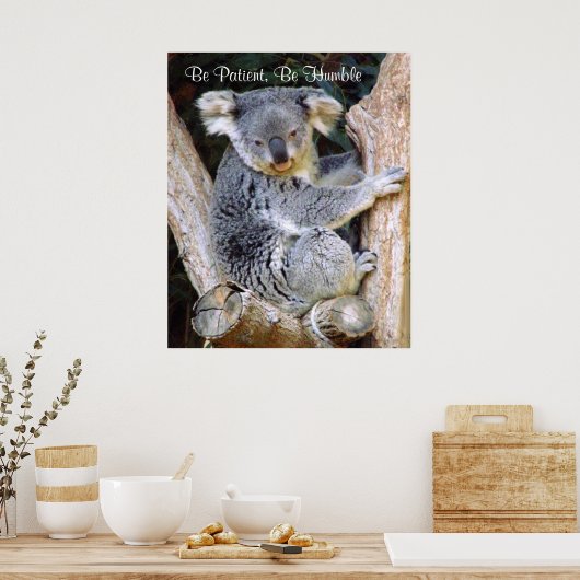 Koala Beren_Poster Poster (Keuken)