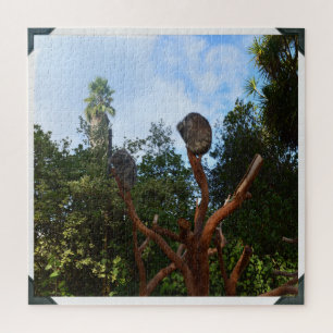 Koala Beren slapen in bomen, Legpuzzel