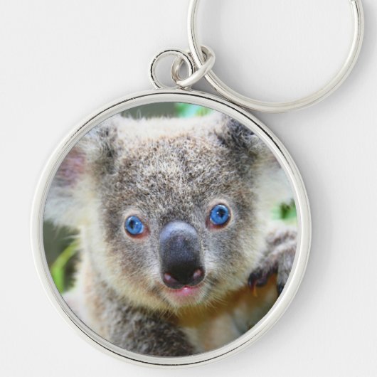 Koala beren sleutelhanger (Voorkant)
