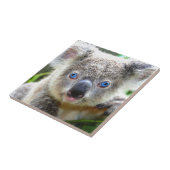 Koala Beren Tegeltje (Zijkant)