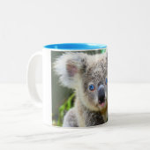 Koala beren tweekleurige koffiemok (Voorkant links)