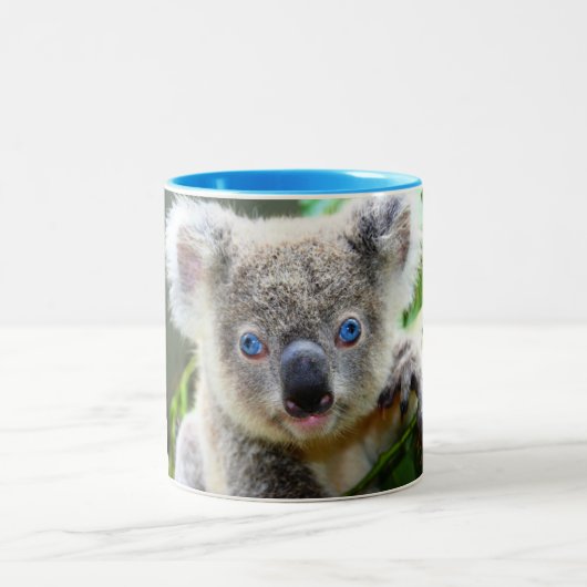 Koala beren tweekleurige koffiemok (Center)