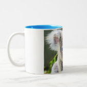 Koala beren tweekleurige koffiemok (Links)