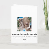 Koala Birthday Card Kaart (Achterkant)
