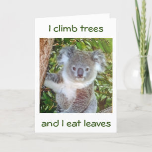 "KOALA BIRTHDAY GREETINGS" HIJ EET VOOR JE KAART