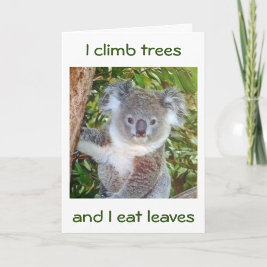 "KOALA BIRTHDAY GREETINGS" HIJ EET VOOR JE KAART (Voorkant)