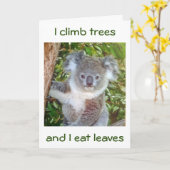 "KOALA BIRTHDAY GREETINGS" HIJ EET VOOR JE KAART (Gele Bloem)