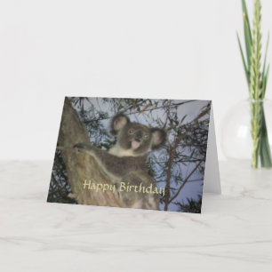 Koala Birthday Kaart