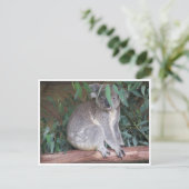 koala bladeren briefkaart (Staand voorkant)