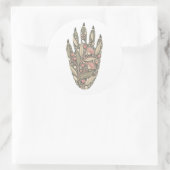 Koala Botanical Footprint Nature Sticker (Tas)