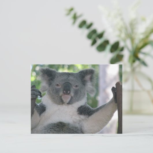 Koala Briefkaart (Staand voorkant)