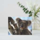 koala briefkaart (Staand voorkant)