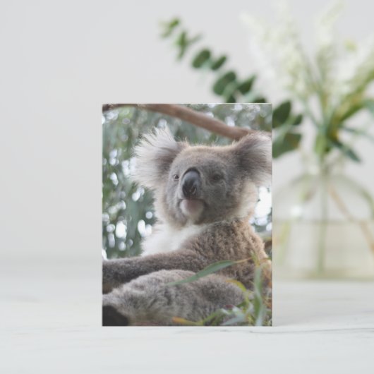 Koala Briefkaart (Staand voorkant)