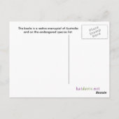 Koala Briefkaart (Achterkant)