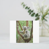 Koala Briefkaart (Staand voorkant)