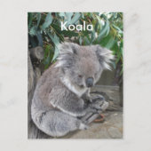 Koala Briefkaart (Voorkant)