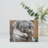 Koala Briefkaart (Staand voorkant)
